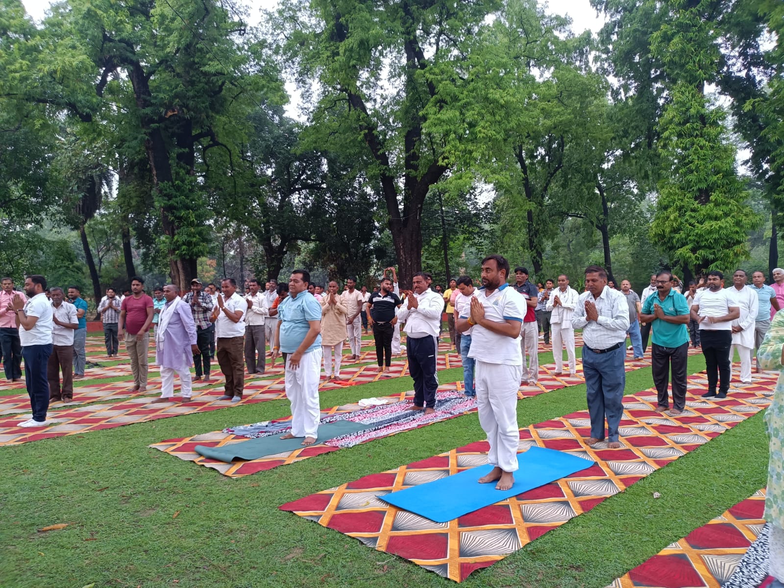 Yoga Day